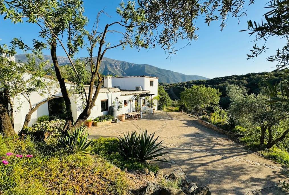 Almond Hill House Villa Orgiva Exterior photo